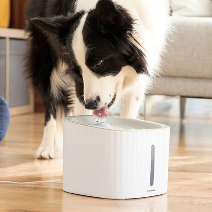 💦 FUENTE DE AGUA PARA MASCOTAS 3L – SILENCIOSA, CON FILTROS Y APAGADO AUTOMÁTICO
