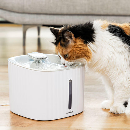 💦 FUENTE DE AGUA PARA MASCOTAS 3L – SILENCIOSA, CON FILTROS Y APAGADO AUTOMÁTICO