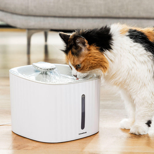 💦 FUENTE DE AGUA PARA MASCOTAS 3L – SILENCIOSA, CON FILTROS Y APAGADO AUTOMÁTICO