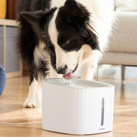 Productos para Mascotas